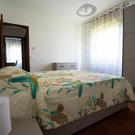 Barbieri - Green, Relaxation And Comfort